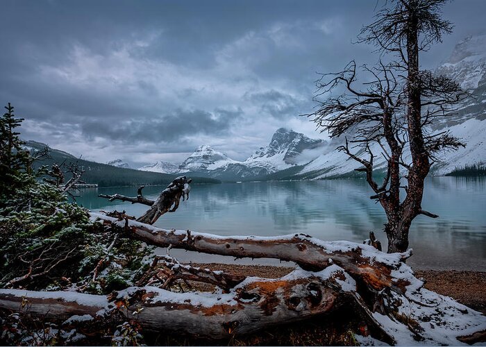Bow Lake Greeting Card featuring the photograph Winter is Coming Bow Lake by Dan Jurak