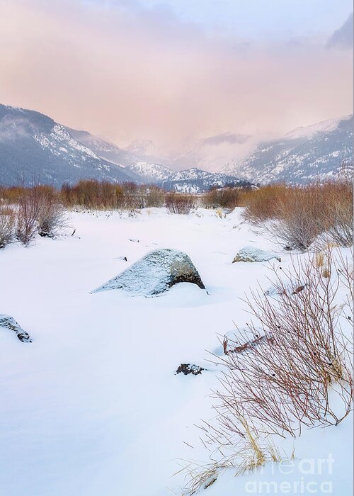 Rocky Mountain National Park Greeting Card featuring the photograph Winter Morning on Moraine Park by Ronda Kimbrow