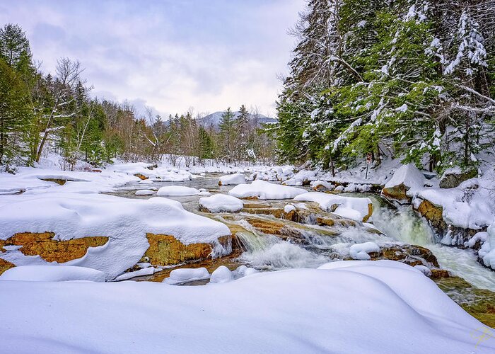 Snow Greeting Card featuring the photograph Winter On The Swift River. by Jeff Sinon