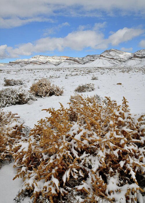 Book Cliffs Greeting Card featuring the photograph Winter Scene at Book Cliffs by Ray Mathis