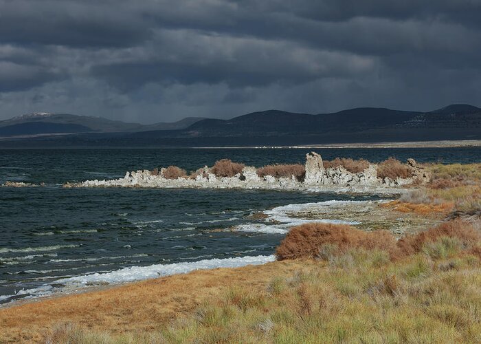 Mono Lake Greeting Card featuring the photograph Winter Storm at Navy Beach by Kathleen Bishop