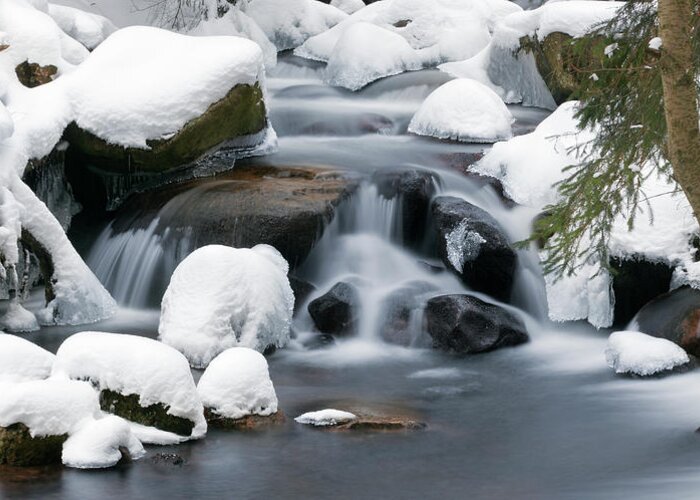 Extreme Terrain Greeting Card featuring the photograph Winter Stream Iv by Avtg