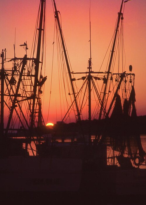 Sunset Greeting Card featuring the photograph Winter Sunset through the Rigging by Jerry Griffin