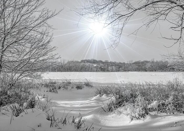 Snow Greeting Card featuring the photograph Winter Wonderland at Purgatory Creek by Susan Rydberg