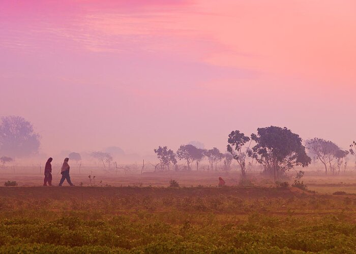 Scenics Greeting Card featuring the photograph Women Villagers Crossing Field At Dawn by Adrian Pope