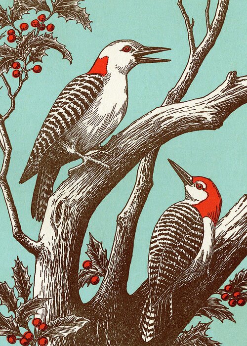 Animal Greeting Card featuring the drawing Woodpeckers by CSA Images