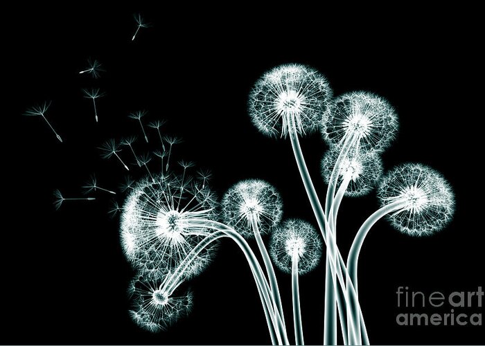 Beauty Greeting Card featuring the digital art X-ray Image Of A Flower Isolated by Posteriori