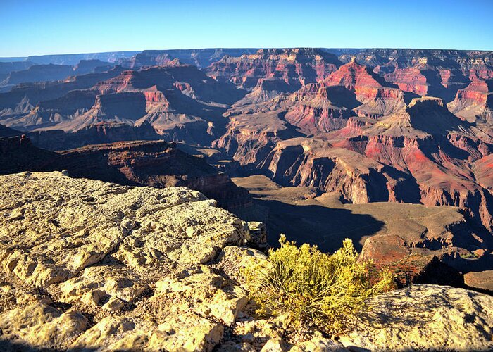 Grand Greeting Card featuring the photograph Yavapai Point, Grand Canyon by Chance Kafka