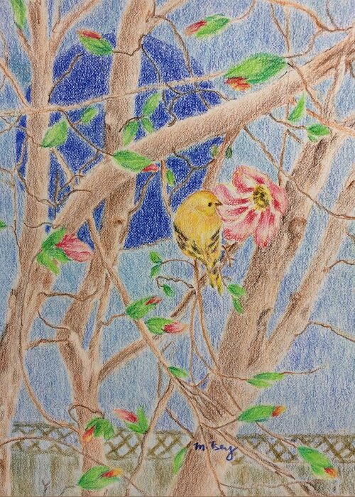 Framed Prints Greeting Card featuring the drawing Yellow finch and magnolia blossoms by Milly Tseng