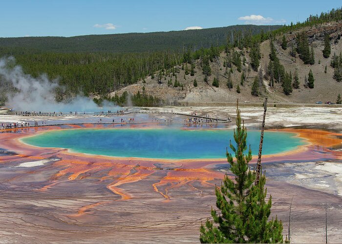 Grand Prismatic Spring Greeting Card featuring the photograph Yellowstone by Patrick Leitz