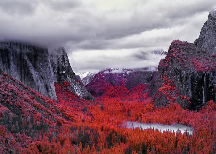 Yosemite Greeting Card featuring the photograph Yosemite in Red by Jon Glaser