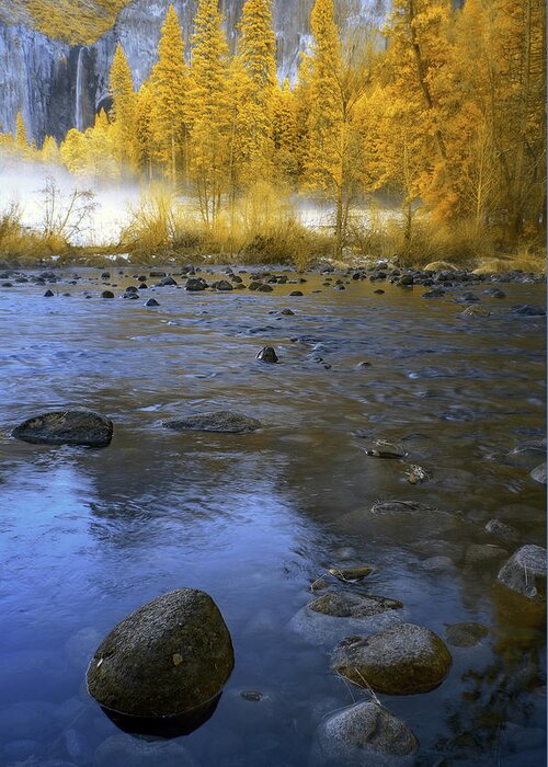 Yosemite Greeting Card featuring the photograph Yosemite River in Yellow by Jon Glaser