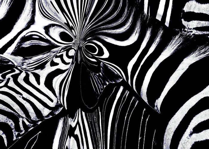 Abstract Greeting Card featuring the photograph Zebra Art by Debra Kewley
