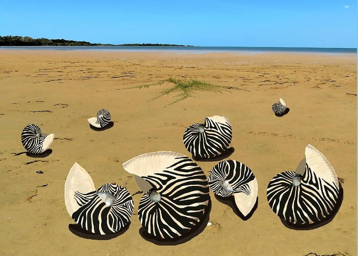 Nautilus Shells On Beach Greeting Card featuring the mixed media Zebra Nautilus Shells on the Beach by Joan Stratton