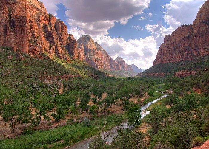 Scenics Greeting Card featuring the photograph Zion National Park Canyon by By Sathish Jothikumar