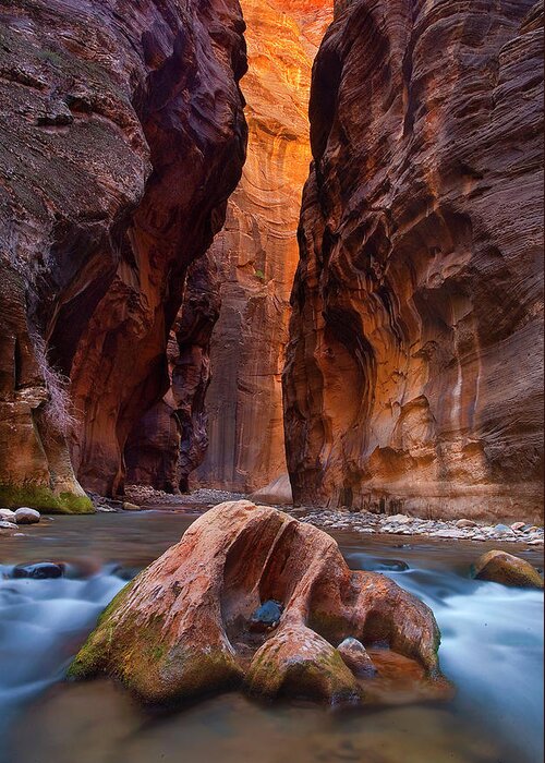 Scenics Greeting Card featuring the photograph Zion River Narrows by Www.brianruebphotography.com