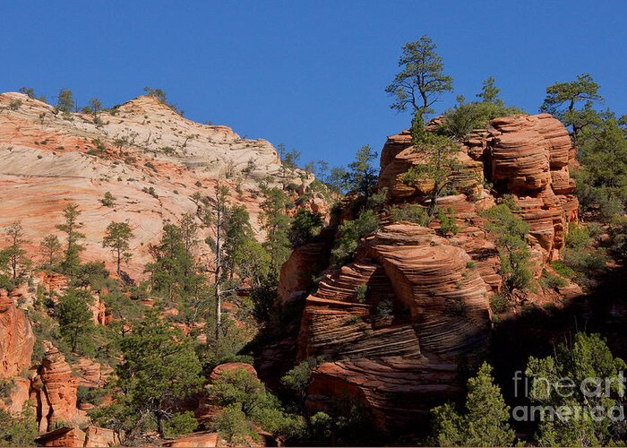 Photography Greeting Card featuring the photograph Zion by Sean Griffin