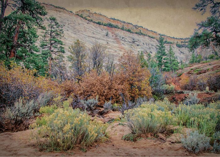 Zion Greeting Card featuring the photograph Zions Garden by Jim Cook