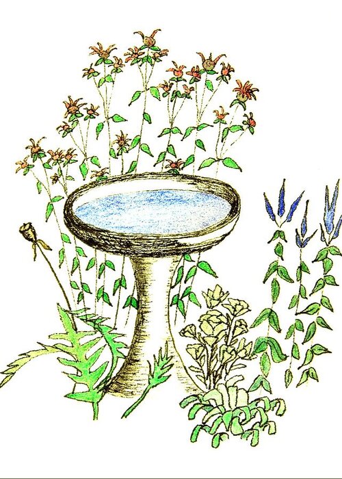 Birdbath Greeting Card featuring the drawing A Lingering Place #2 by Karen Nice-Webb