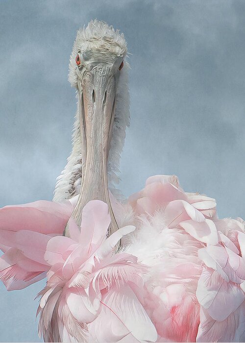 Pink Greeting Card featuring the photograph A Roseate Spoonbill #1 by Sylvia Goldkranz