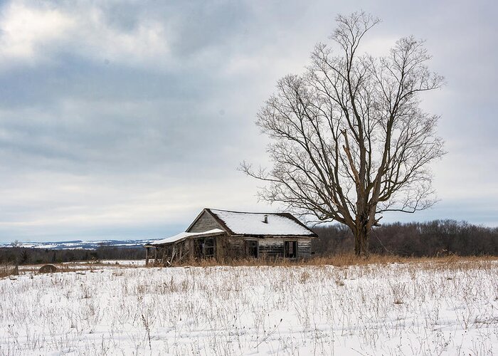 Landscape Greeting Card featuring the photograph Abandoned Homestead #1 by Dee Potter