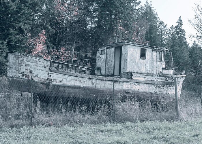 Weathered Boat Greeting Card featuring the photograph Abandoned Relic Boat 2121 by Cathy Anderson