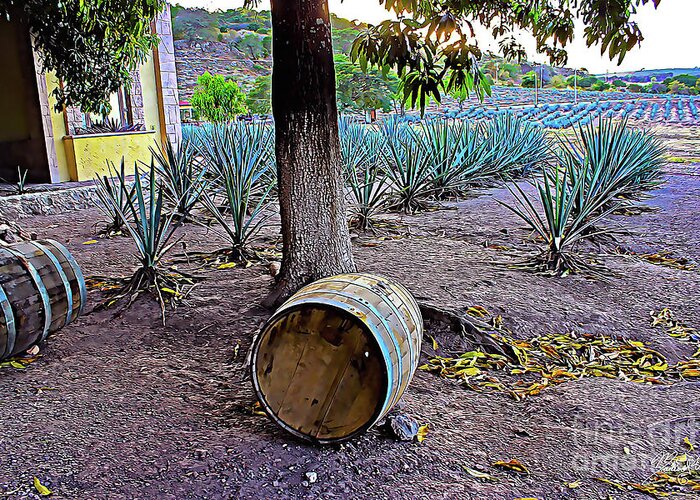 Barrels Greeting Card featuring the digital art Barrels and Agaves #2 by Marisol VB