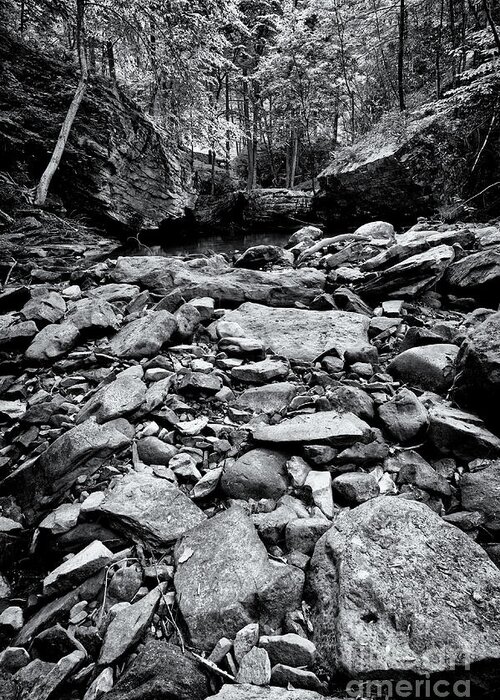 Tennessee Greeting Card featuring the photograph Black and White Rocks #1 by Phil Perkins