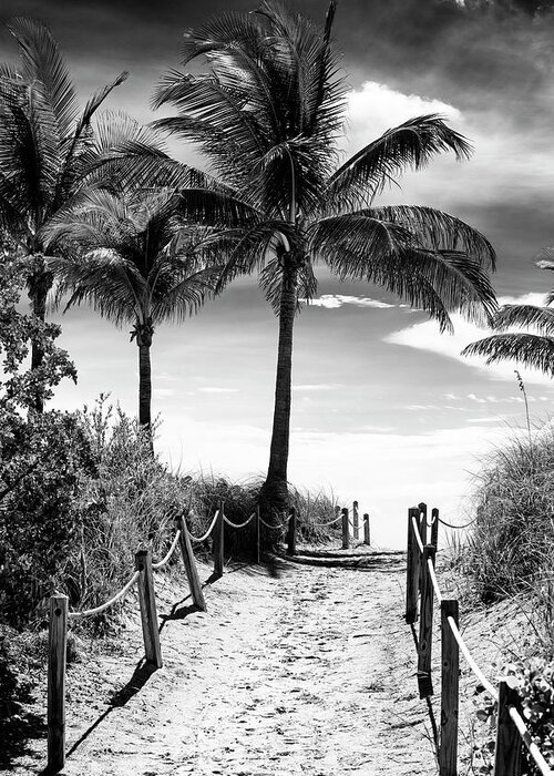 Florida Greeting Card featuring the photograph Black Florida Series - Boardwalk Beach by Philippe HUGONNARD