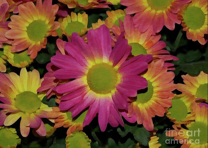 Background Greeting Card featuring the digital art Blanket Flowers #1 by On da Raks