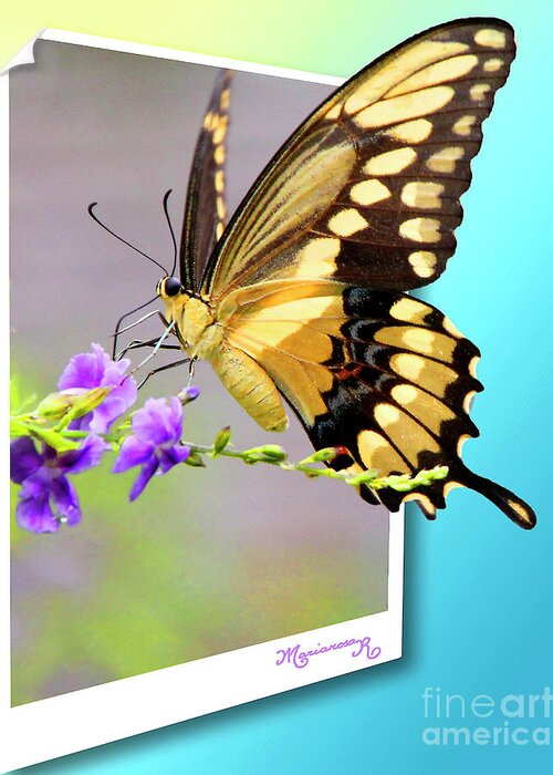 Nature Greeting Card featuring the photograph Butterfly #1 by Mariarosa Rockefeller