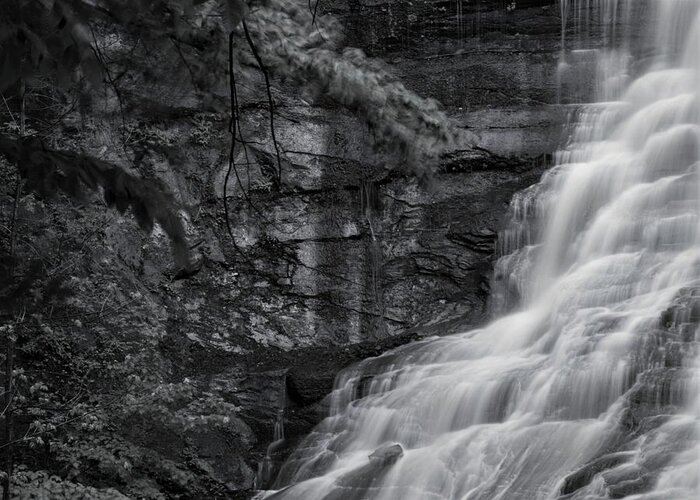 Greeting Card featuring the photograph Chittenango Falls by Brad Nellis
