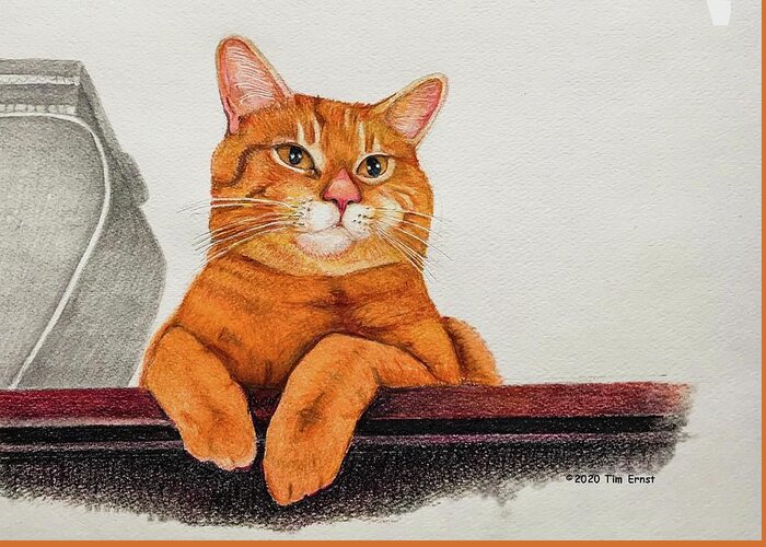 Cat Greeting Card featuring the drawing Contemplation #1 by Tim Ernst
