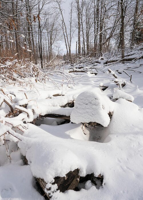 Barrhaven Greeting Card featuring the photograph Creekbed in winter. #2 by Rob Huntley