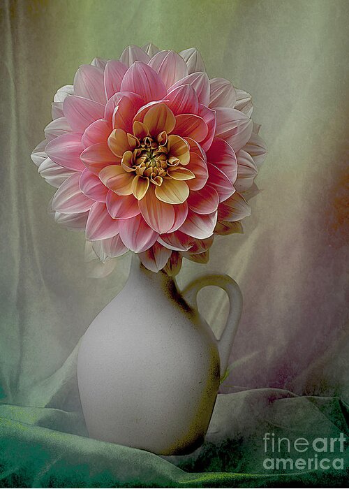 Flower Greeting Card featuring the photograph Dahlia My Forever #1 by Ann Jacobson