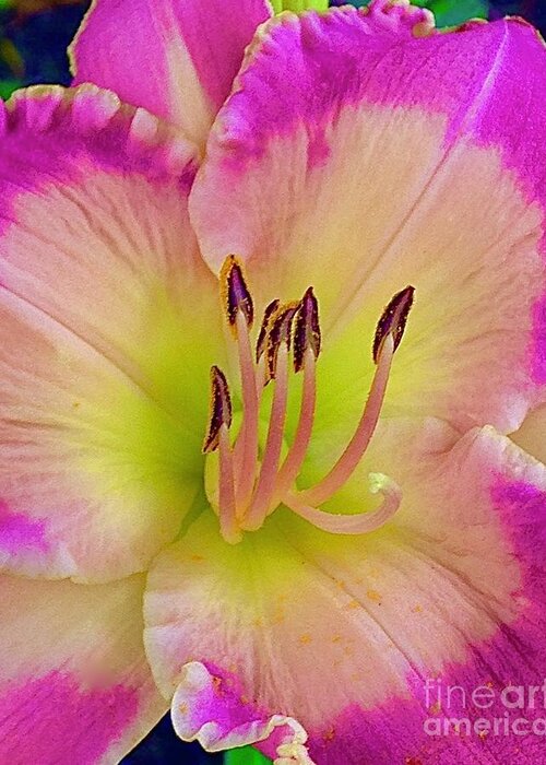Daylily Greeting Card featuring the digital art Daylily #1 by Tammy Keyes
