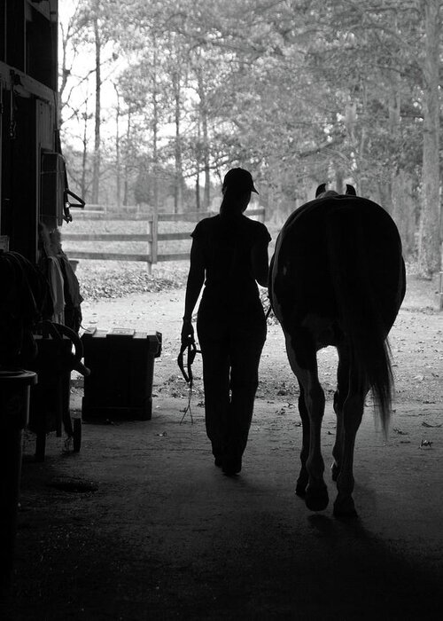 Horses Greeting Card featuring the photograph Day's End #1 by Minnie Gallman