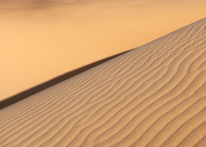 Sand Dune Greeting Card featuring the photograph Diagonal Sand Dune by Peter Boehringer