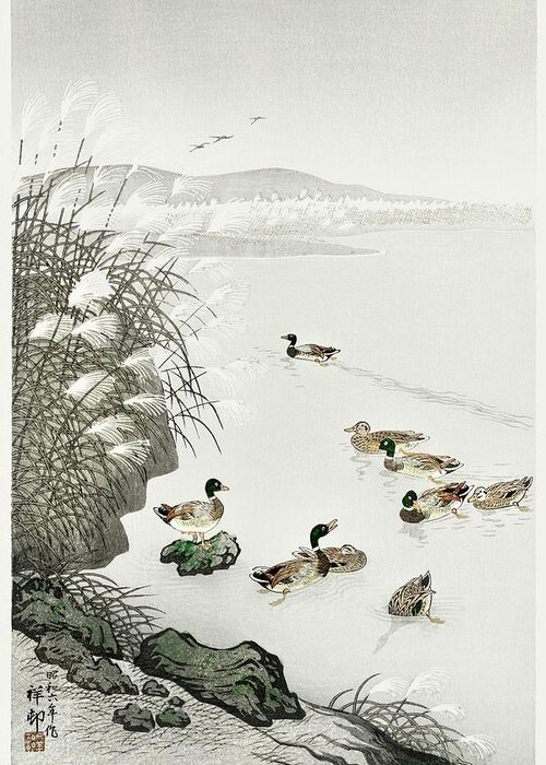 Ducks Greeting Card featuring the mixed media Ducks in the water #1 by World Art Collective