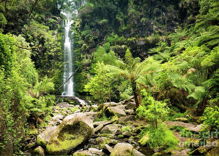 Erskine Falls Greeting Card featuring the photograph Erskine Falls Waterfall #1 by THP Creative