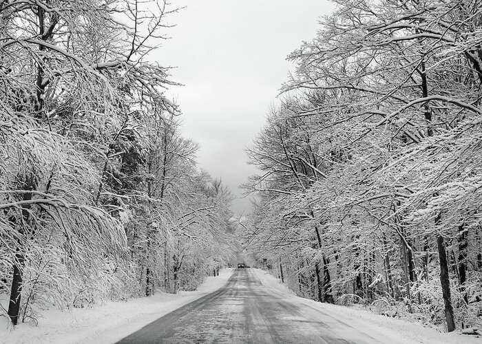Back Road Greeting Card featuring the photograph Traveling Through the Fresh Snow by David T Wilkinson