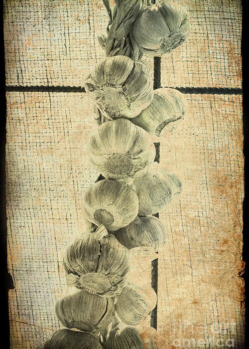 Garlic Greeting Card featuring the photograph Garlic #1 by Elaine Teague
