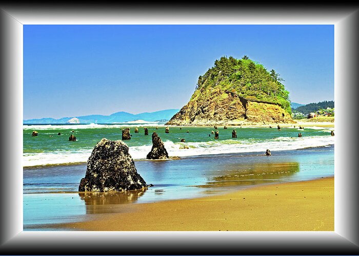 Beach Greeting Card featuring the photograph Ghost Stumps at Proposal Rock #1 by Richard Risely