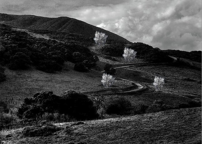 Landscape Greeting Card featuring the photograph Ghosts on a Road to the Sun #2 by Wayne King