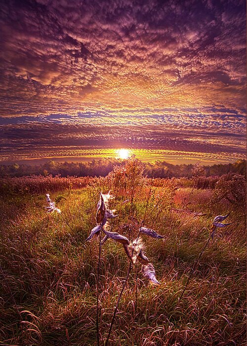 Rural Greeting Card featuring the photograph Giving Thanks #1 by Phil Koch