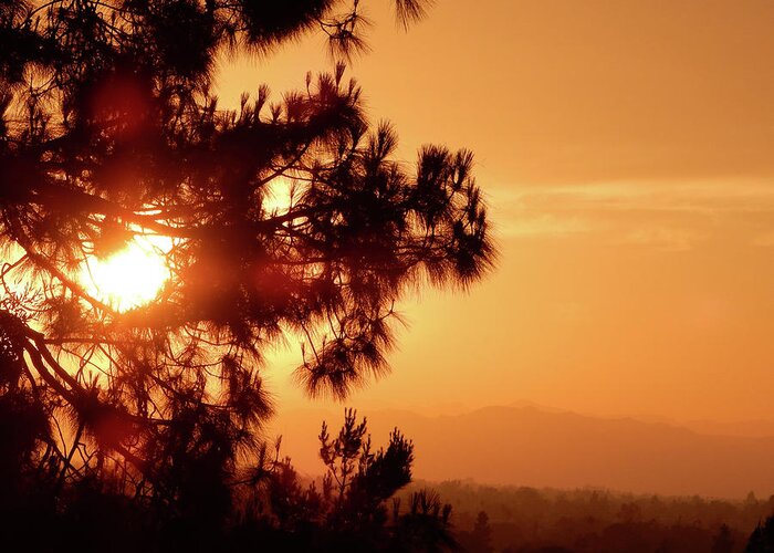 Luck Greeting Card featuring the photograph Lucky Sunset by Andrew Lawrence