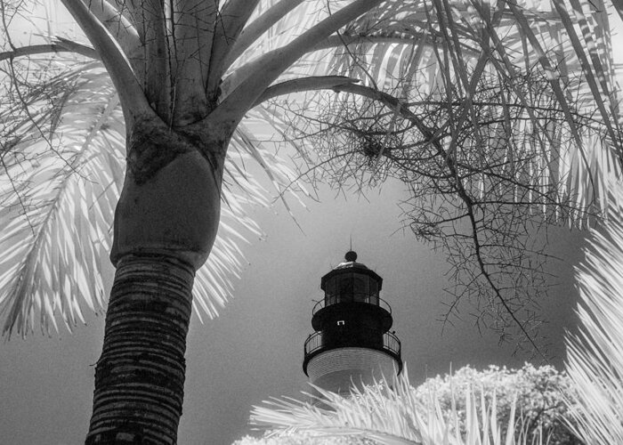 Lighthouse Greeting Card featuring the photograph Key West Lighthouse #1 by Jeffrey Holbrook