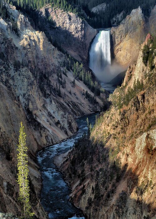 Yellowstone Greeting Card featuring the photograph Lower Yellowstone Falls #1 by Stephen Vecchiotti