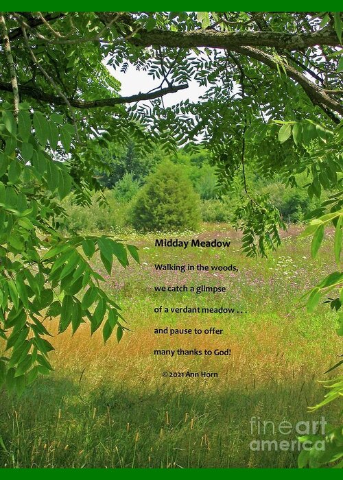 Landscape Greeting Card featuring the photograph Midday Meadow #2 by Ann Horn