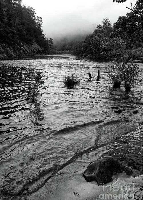 Black And White Greeting Card featuring the photograph Morning Fog #1 by Phil Perkins